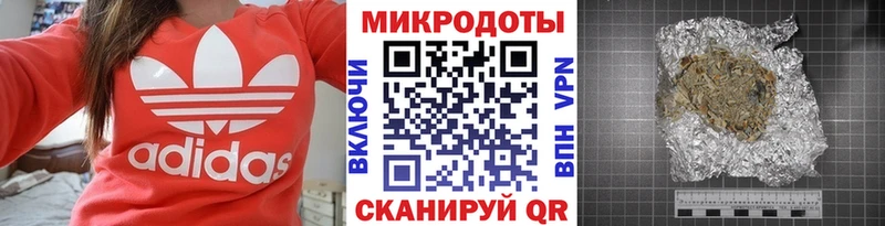 блэк спрут зеркало купить наркотик Салаир Галлюциногенные грибы Psilocybe